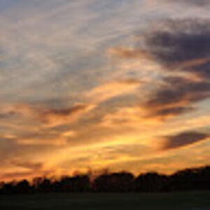 Meet your Posher, Jo